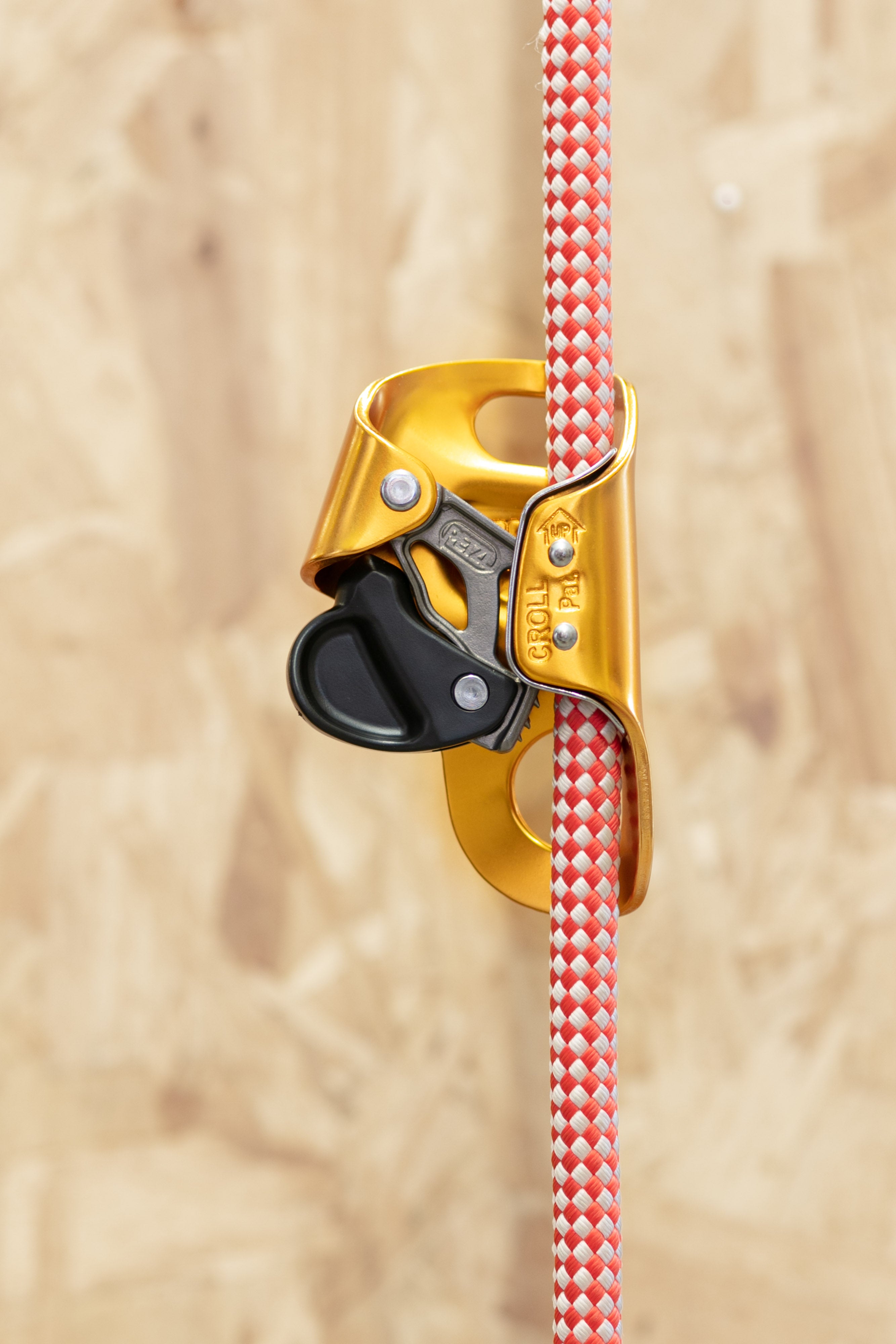 Petzl - Croll, Small – Rope Access Equip