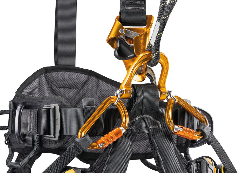 Petzl - Astro BOD Fast, International