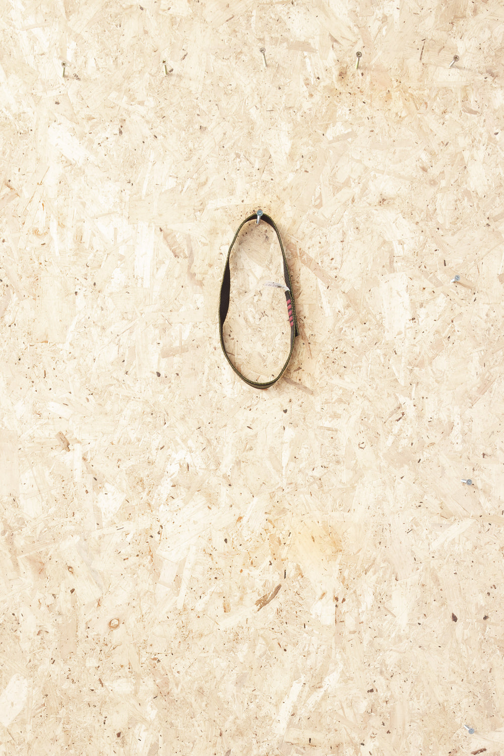 Lyon - Nylon Sling 25mm