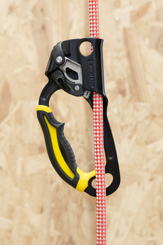Petzl - Ascension