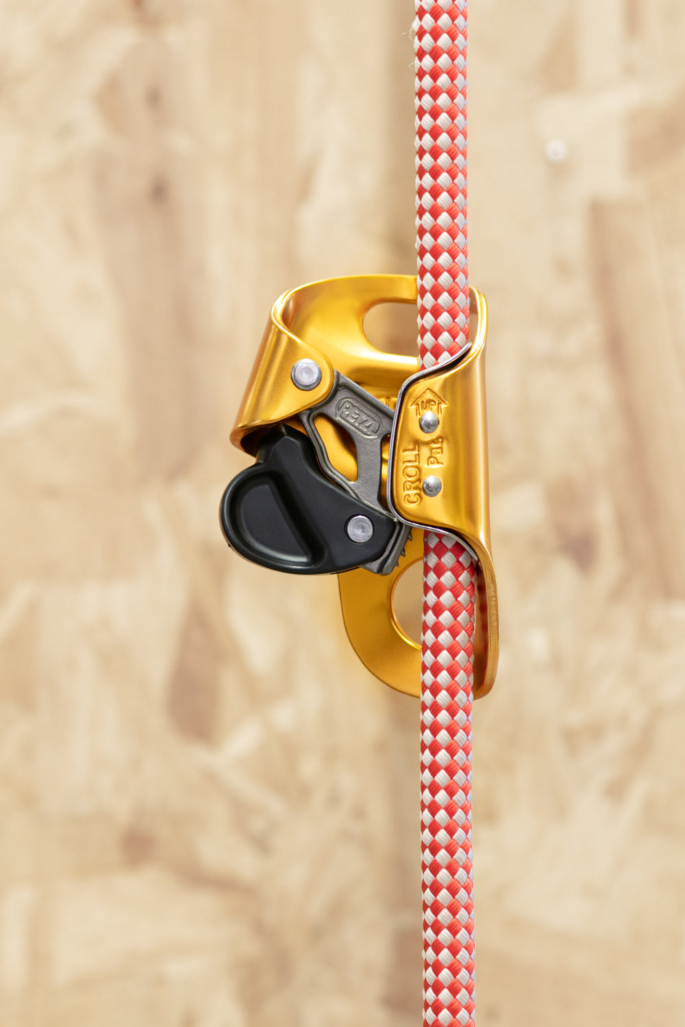 Petzl - Croll, Small – Rope Access Equip