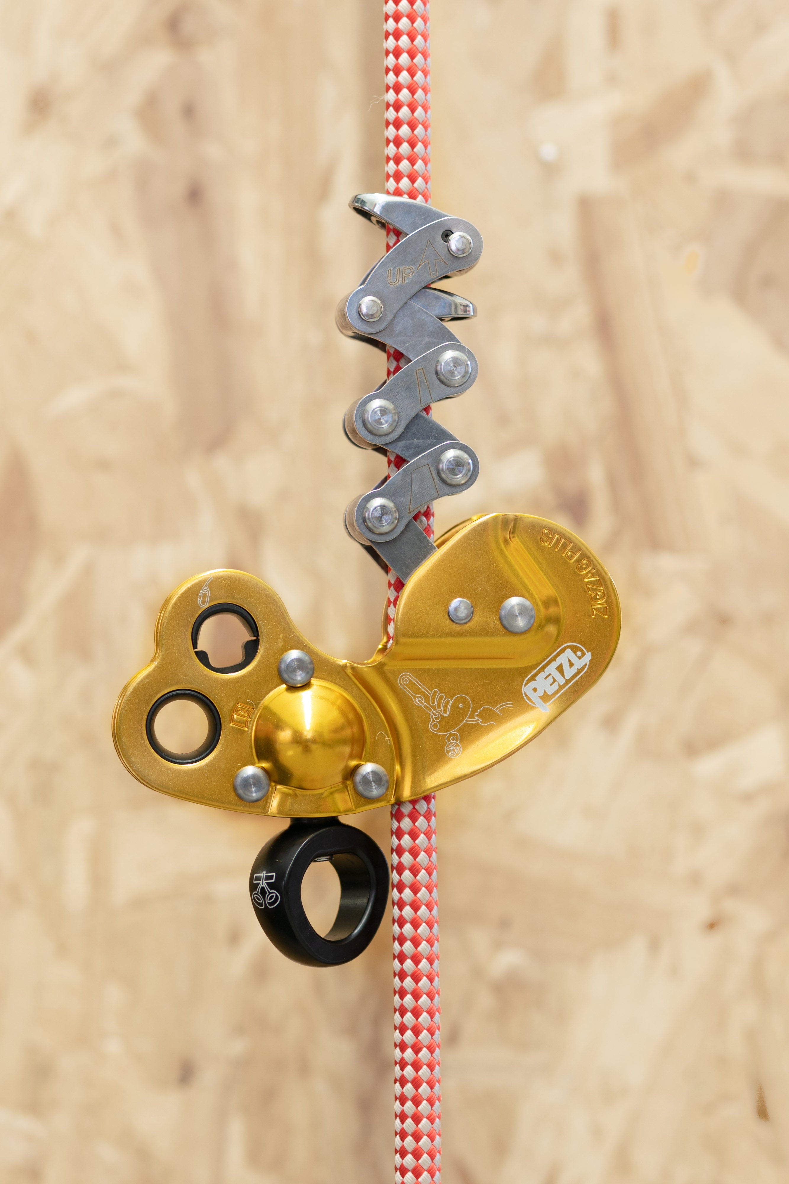 Petzl - Zigzag Plus – Rope Access Equip